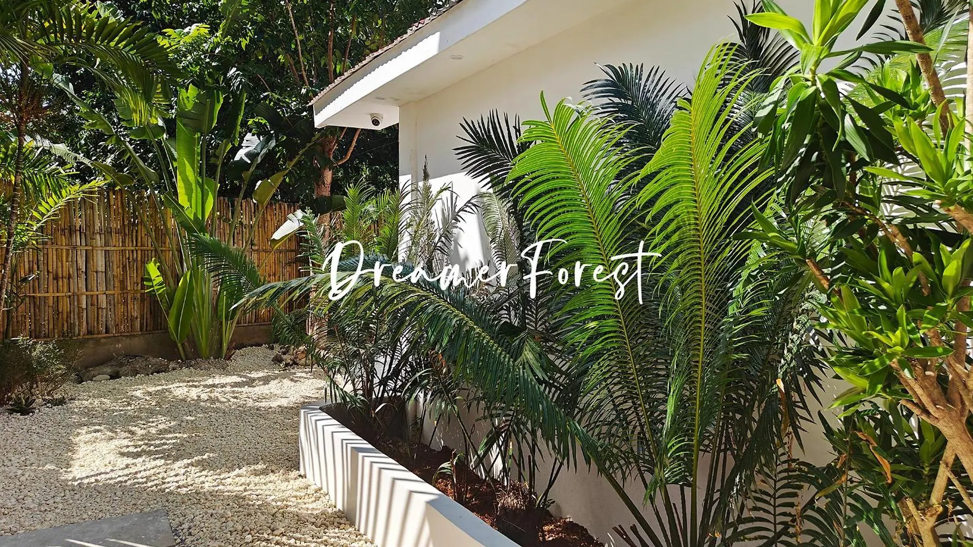 The Forest House Tangnan 0*,  Philippines